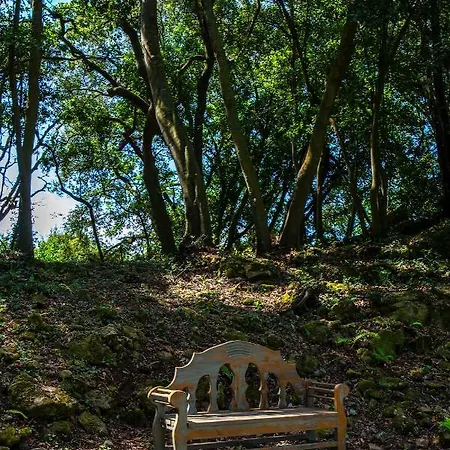 Vibe Luxury * Arnuero