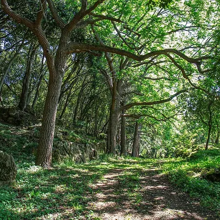 Vibe Luxury Villa Arnuero