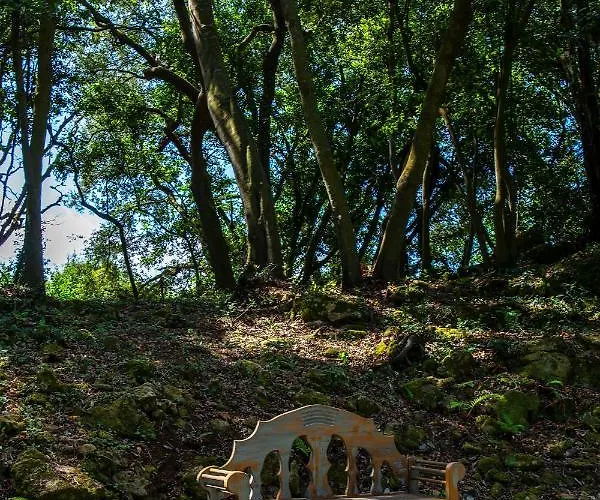 Vibe Luxury * Arnuero