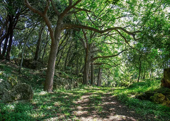 Vibe Luxury Villa Arnuero