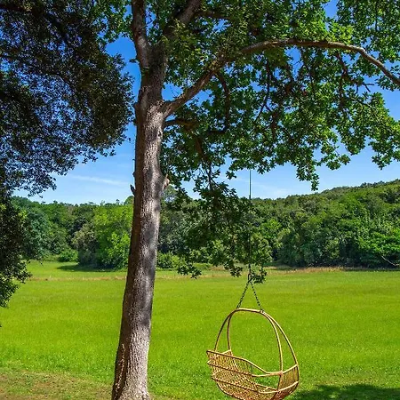 Βίλα Vibe Luxury