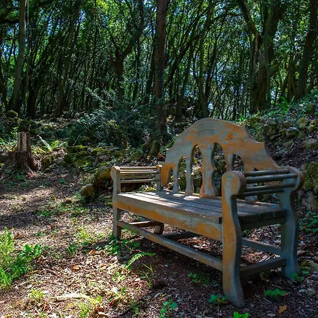 Vibe Luxury Βίλα Arnuero