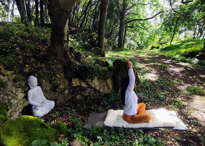 Vibe Luxury * ארנוארו